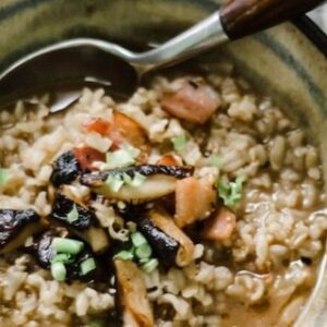 Congee-ish Rice Porridge