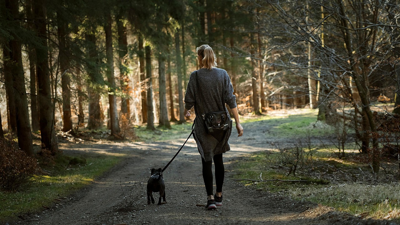 4 Types of Fatigue and How to Heal Them